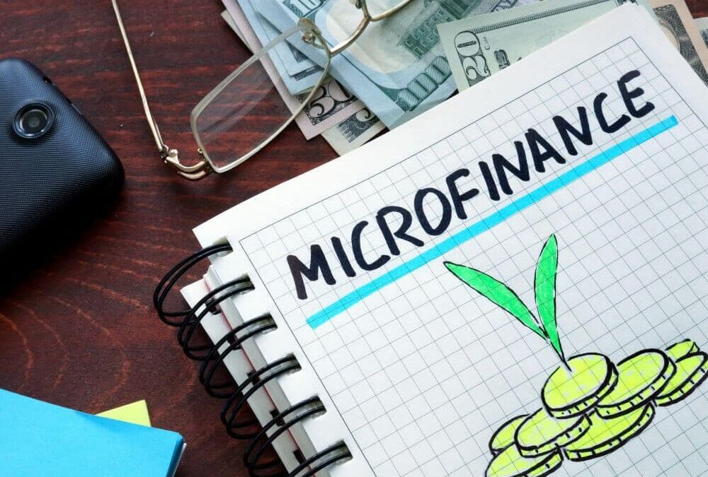 Microloan repayment strategies for success